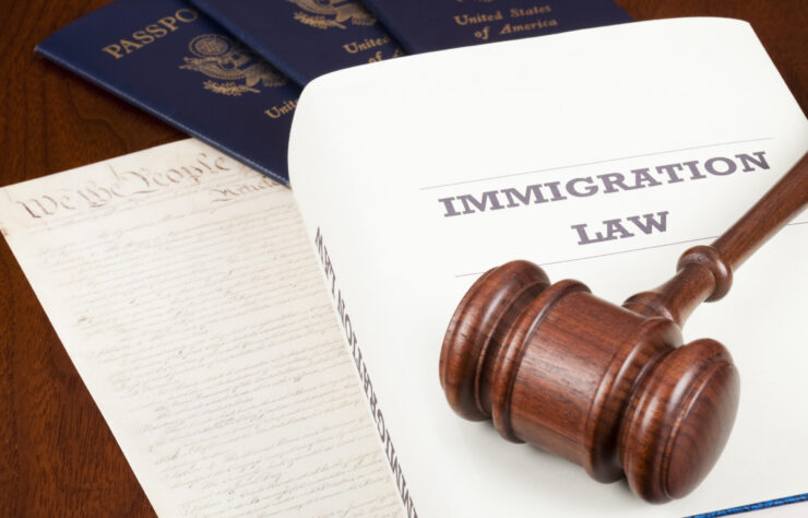 Book on Immigration law