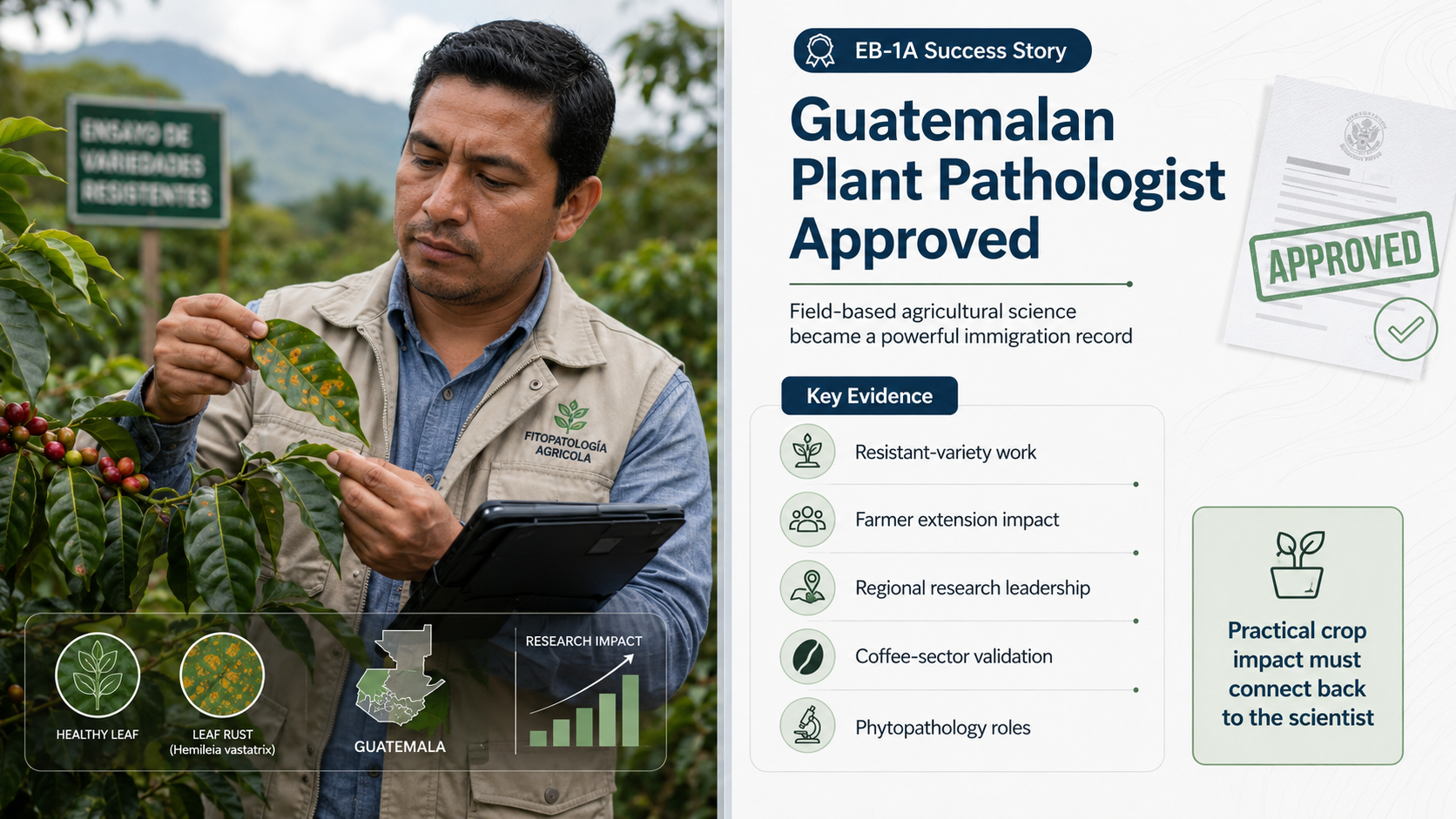 EB-1A Plant Pathologist coffee research infographic